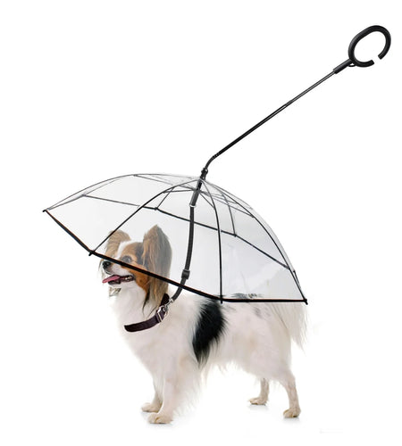 Dog Umbrella, Clear Pet Umbrella Flexible Handle Umbrella for Dog with Rope for Small Pets