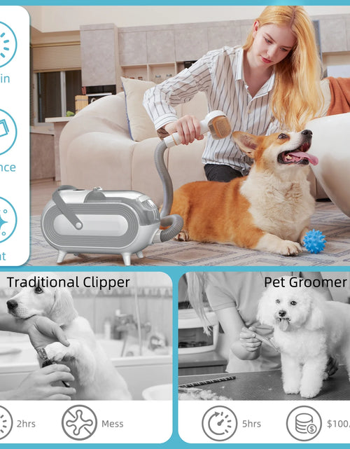 Load image into Gallery viewer, Dog Grooming Kit 2L Pet Hair Grooming Vacuum with 5 Pet Grooming Tools
