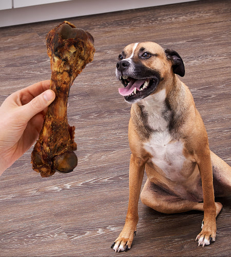 Natural Pork Femur Chew for Dogs, 1 Count, 9.28 Oz