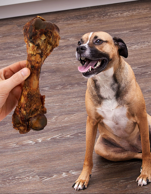 Load image into Gallery viewer, Natural Pork Femur Chew for Dogs, 1 Count, 9.28 Oz
