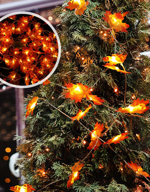 Load image into Gallery viewer, 9.8FT Fall Thanksgiving Maple Leaves 20 LED Light Lamp Garland Festival Decor
