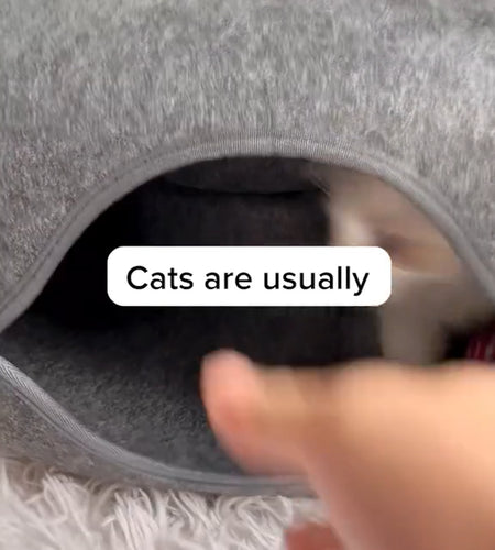 Peekaboo Cat Cave EXTRA LARGE Cat Tunnel Bed Indoor Cats, Cat Donut,Gray, USA